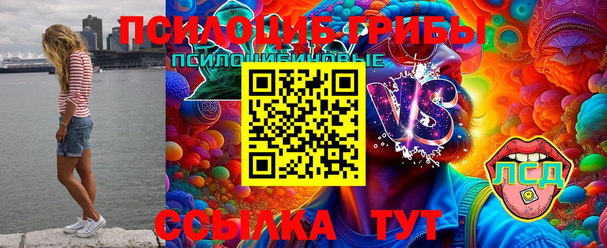 Галлюциногенные грибы Psilocybe Белово